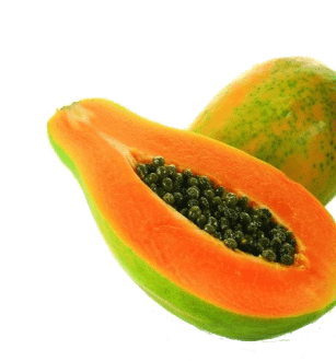 Fresh Papaya