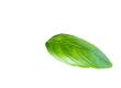 Shape 2