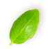Shape 3