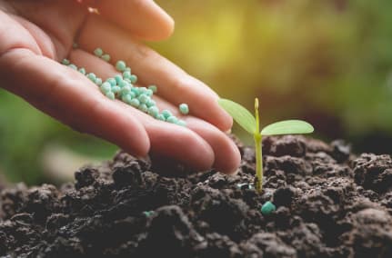 Organic Fertilizer Service